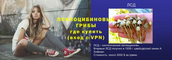 шишки Верея