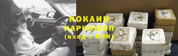 шишки Верея