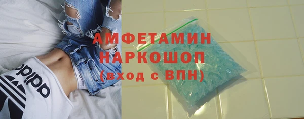 шишки Верея
