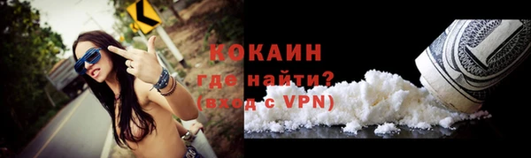 дживик Верхний Тагил