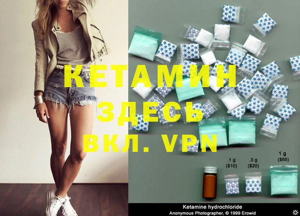 шишки Верея