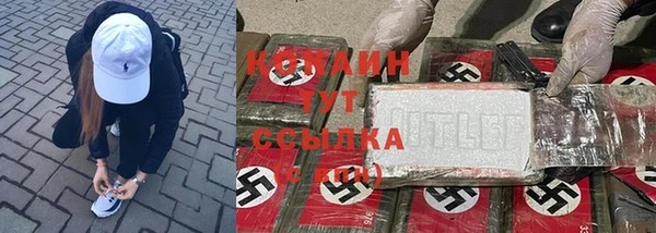шишки Верея
