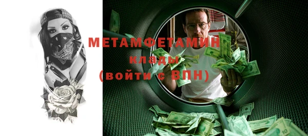 шишки Верея