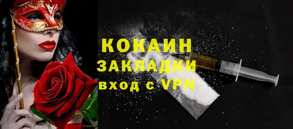 дживик Верхний Тагил