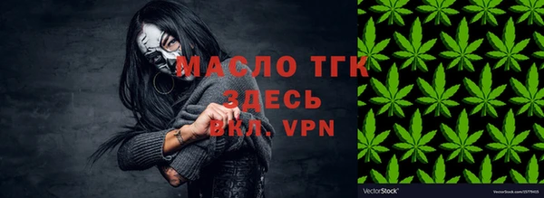 дживик Верхний Тагил