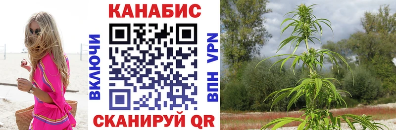 закладка  Полтавская  Шишки марихуана THC 21% 